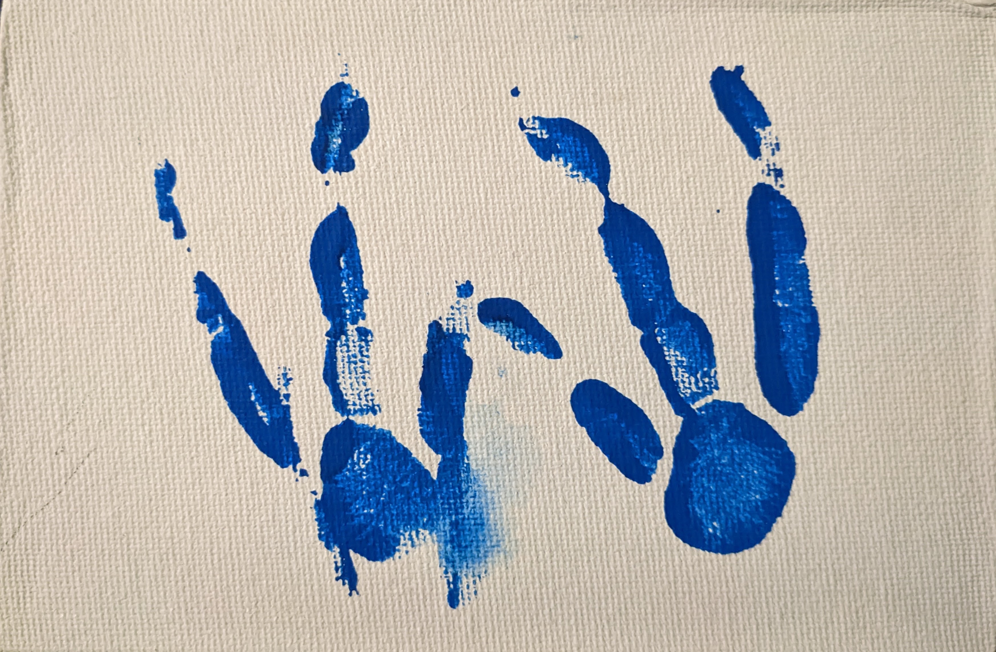 A white canvas shows a pair of animal footprints in blue paint. These are the footprints of a rockhopper penguin. Each foot has three toes.